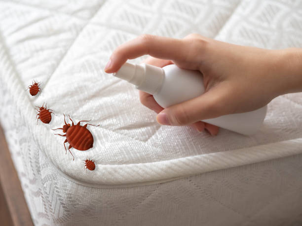 Best Pest Prevention Services  in Carolina Shores, NC